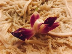 -老码头火锅(玉林店)