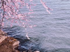 -颐和园
