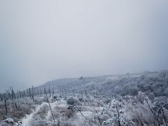-阳台山自然风景区