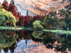 -共青国家森林公园-售票处