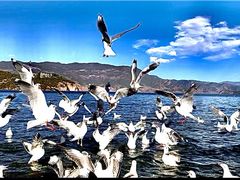 -丽江泸沽湖景区