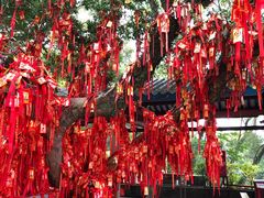 -国恩寺