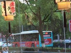 -素满香·素食自助餐(苏州·临顿路店)