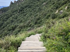 -白草畔自然风景区