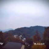 采菊东篱下