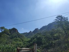 -大岭沟猕猴桃谷风景区