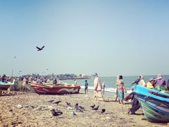 -尼甘布海滩