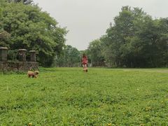 -南国桃园旅游度假区