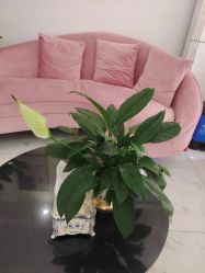 -奥丽维娅美容养生会所