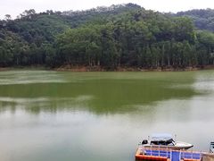 景点-阳台山森林公园
