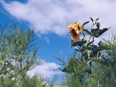 -丽江泸沽湖景区