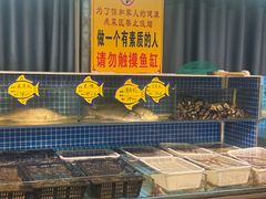 -韩记海鲜饺子旗舰店(红海新区店)