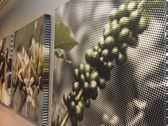 -星巴克(古象大酒店店)