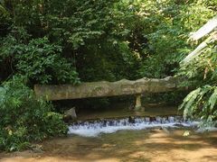 -莫里热带雨林景区