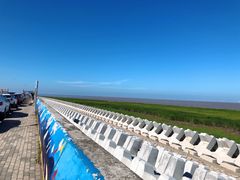 -南汇嘴观海公园