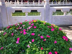 -后海16号·北京私房菜