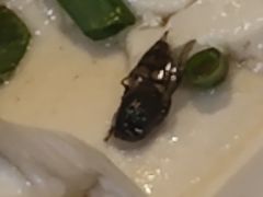 -华兴餐厅·招牌生鱼片(桃园路店)