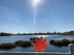 -长春市南湖公园