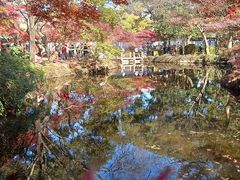 -秋霞圃