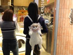 -越秀西湖花市(广州城市广场花卉店)