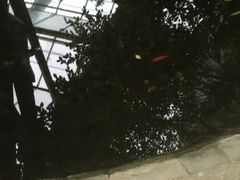 -晶宝温泉农庄