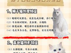 -翊宠yipet猫狗购宠庄园犬舍•猫舍