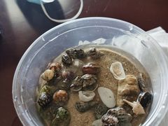 -碧桂园十里银滩