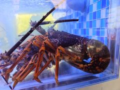 -映像威海·威海宴(威高广场店)