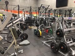 -健身专家Wellness Experts