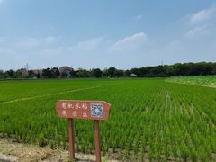 -广富林郊野公园