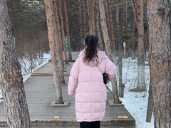 -帽儿山国家森林公园