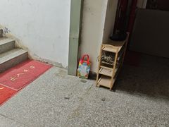 -深圳野生动物园