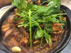 鸡鸡蛙蛙中煲-川香煲(茅台路店)