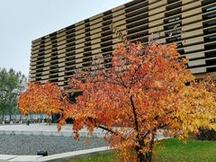 -长春世界雕塑园冰雪艺术天地