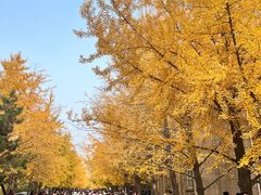 -辽宁大学(崇山校区)