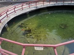 -石老人观光园