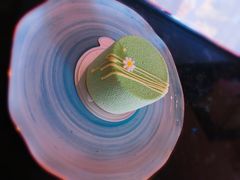 -双风车咖啡馆 Twin Windmills(六道口店)