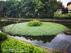 -南京钟山宾馆(江苏省会议中心)