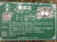 -广西壮族自治区药用植物园