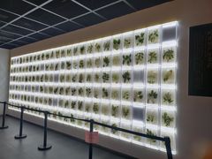 -广东中医药博物馆