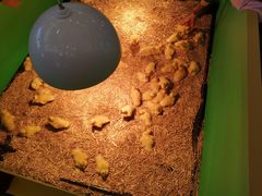 -利客来李村购物中心