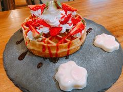 -more than meow吴止猫主题餐厅(承德 中船汇店)