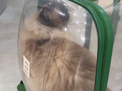 -谐和益家动物医院·免疫绝育·血液透析·宠保定点医院(高新伊藤分院)