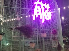 -有猫主题·治愈系猫咖(曾厝垵店)