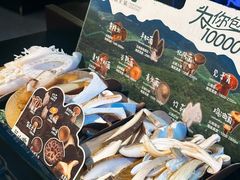 当季野生菌四拼-芸山季·云南野生菌火锅(人民广场来福士店)