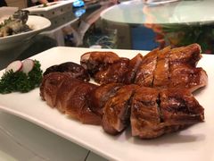 -宝燕壹号(徐汇店)