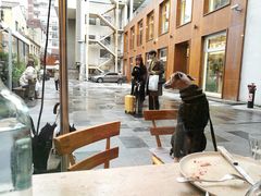 大堂-RAC BAR(安福路店)