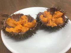 活海胆-海胆小馆(春柳店)