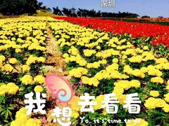 -东部华侨城