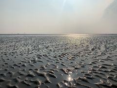 -南汇新城海滩